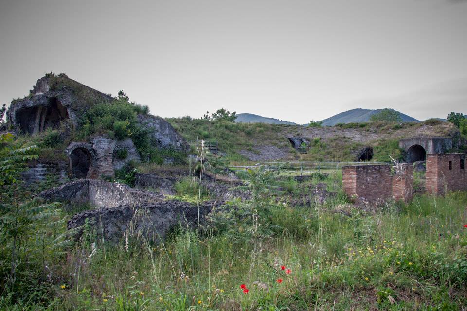 https://www.massimozona.it/wp-content/uploads/2024/05/8866_area-archeologica-dell-antica-cales.jpg